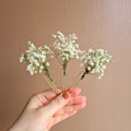 Baby's Breath Hair Pins: Boho Wedding Flower Hair Clips
